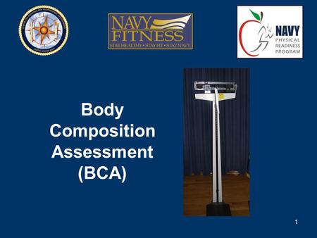 Body Composition Assessment (BCA)