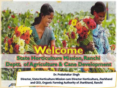 Established as separate state on 15 November, 2000 75% population depend on Agri-horticulture Geographical area - 79,714 sq. km Waste land – 12.42 lakh.
