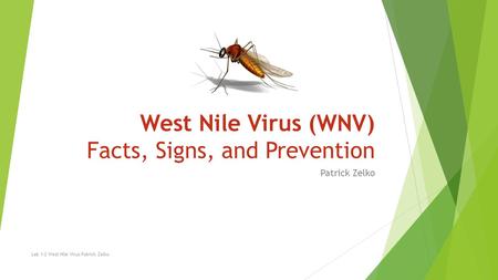West Nile Virus (WNV) Facts, Signs, and Prevention