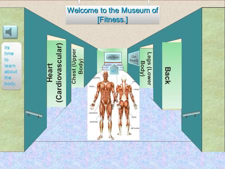 Museum Entrance Heart (Cardiovascular) Chest (Upper Body ) Back Legs (Lower Body) Welcome to the Museum of [Fitness.] [Fitness.] 5 Get Ready Lets Work..