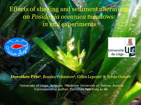 Effects of shading and sediment alterations on Posidonia oceanica meadows: in situ experiments Dorothée Pête 1, Branko Velimirov 2, Gilles Lepoint 1 &