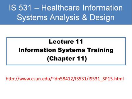 Lecture 11 Information Systems Training (Chapter 11)