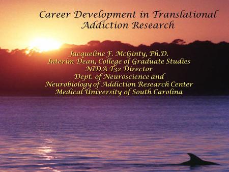 Career Development in Translational Addiction Research