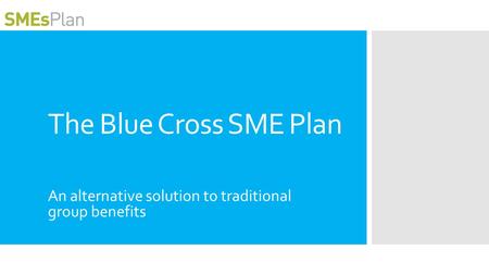 The Blue Cross SME Plan An alternative solution to traditional group benefits.