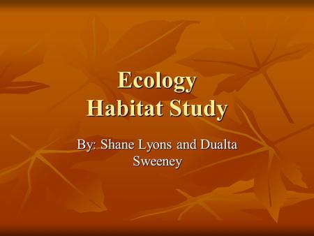 Ecology Habitat Study By: Shane Lyons and Dualta Sweeney.