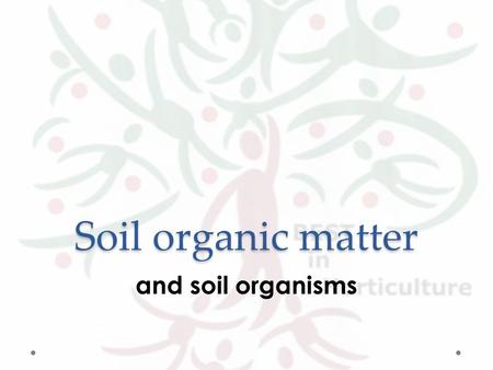 Soil organic matter and soil organisms. Soil biomass (living organic matter) = living plants and animals and micro-organisms.