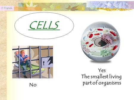 D Franek CELLS No Yes The smallest living part of organisms.