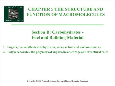CHAPTER 5 THE STRUCTURE AND FUNCTION OF MACROMOLECULES Copyright © 2002 Pearson Education, Inc., publishing as Benjamin Cummings Section B: Carbohydrates.