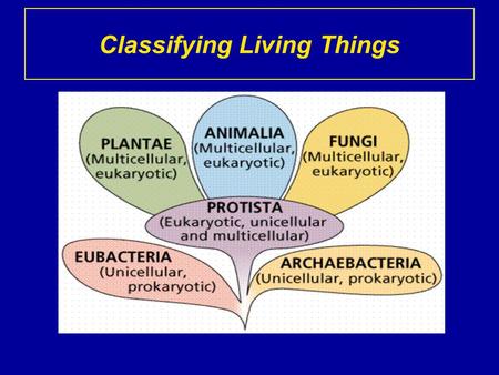 Classifying Living Things. The Six Kingdoms Let us name the six kingdoms: 1. 2. 3. 4. 5. 6. Archaebacteria Eubacteria Protista Fungi Plantae Animalia.