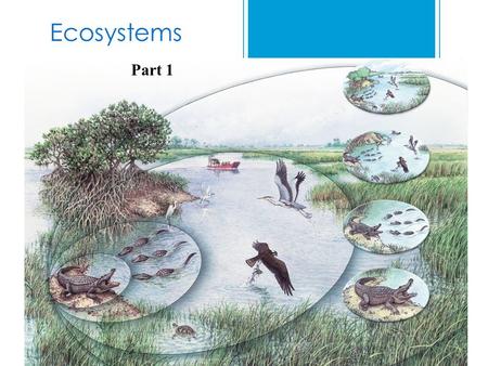 Ecosystems Part 1.