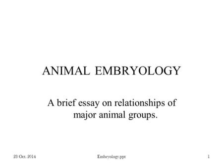 A brief essay on relationships of major animal groups.