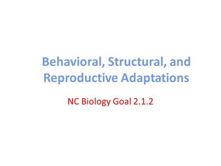 Behavioral, Structural, and Reproductive Adaptations