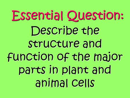 Essential Question: Describe the structure and function of the major parts in plant and animal cells.