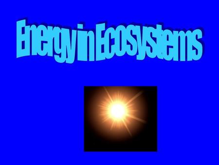 Energy in Ecosystems.