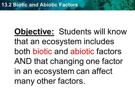 Objective: Students will know that an ecosystem includes both biotic and abiotic factors AND that changing one factor in an ecosystem can affect many.