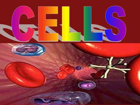 Cells Basic unit of structure of living things Basic unit of structure of living things Use energy Use energy Grow & develop Grow & develop Reproduce.