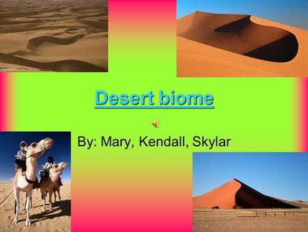 Desert biome By: Mary, Kendall, Skylar location In North America there are 4 main deserts; Chihuahuan Sonora Mojave Great Basin.