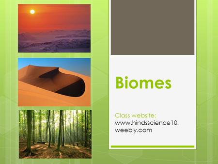 Biomes Class website:  weebly.com