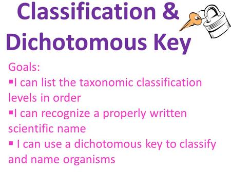 Classification & Dichotomous Key