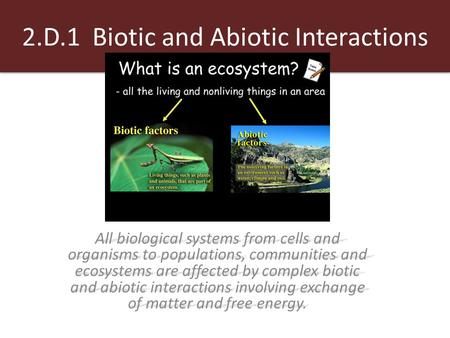 2.D.1 Biotic and Abiotic Interactions