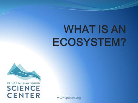 WHAT IS AN ECOSYSTEM? www.pwssc.org. What is an ecosystem? A community that includes all living and nonliving things in a certain area. Abiotic: All the.