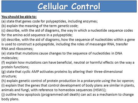 Cellular Control You should be able to: (a) state that genes code for polypeptides, including enzymes; (b) explain the meaning of the term genetic code;