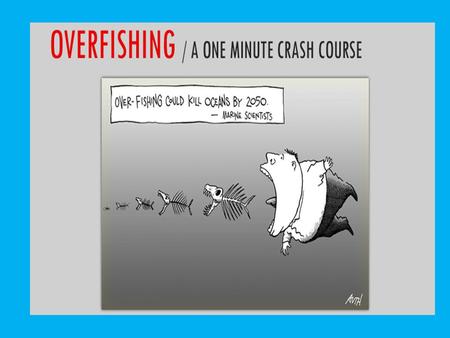 OVERFISHING The practice of commercial and non-commercial fishing which depletes a fishery by catching so many adult fish that not enough remain.