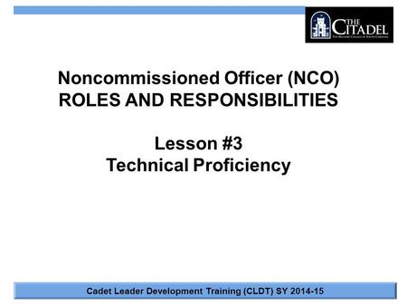 Noncommissioned Officer (NCO) ROLES AND RESPONSIBILITIES