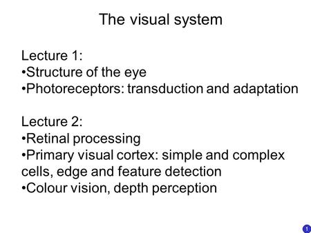 The visual system Lecture 1: Structure of the eye