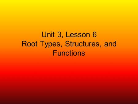 Unit 3, Lesson 6 Root Types, Structures, and Functions.