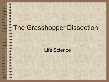 The Grasshopper Dissection Life Science. The Grasshopper Body Segments Head Thorax Abdomen Head Thorax Abdomen.