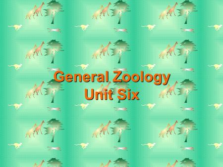General Zoology Unit Six