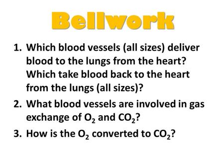 Bellwork Which blood vessels (all sizes) deliver blood to the lungs from the heart? Which take blood back to the heart from the lungs (all sizes)? What.