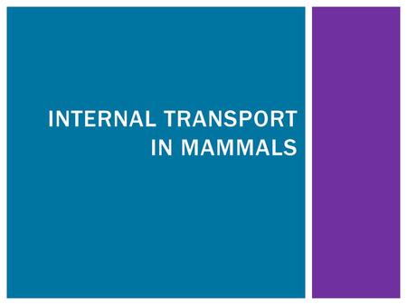INTERNAL TRANSPORT IN MAMMALS.  Supplies all cells with the nutrients (eg. Glucose, mineral ions, amino acids), water and oxygen they require. INTERNAL.