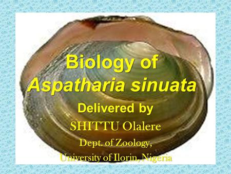 Biology of Aspatharia sinuata