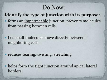 Identify the type of junction with its purpose: forms an impermeable junction; prevents molecules from passing between cells Let small molecules move directly.