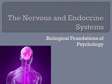 Biological Foundations of Psychology  Central Nervous System – Brain and Spinal Cord 99% of all nerve cells  Peripheral Nervous System – Network of.