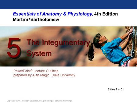 Essentials of Anatomy & Physiology, 4th Edition Martini / Bartholomew PowerPoint ® Lecture Outlines prepared by Alan Magid, Duke University The Integumentary.
