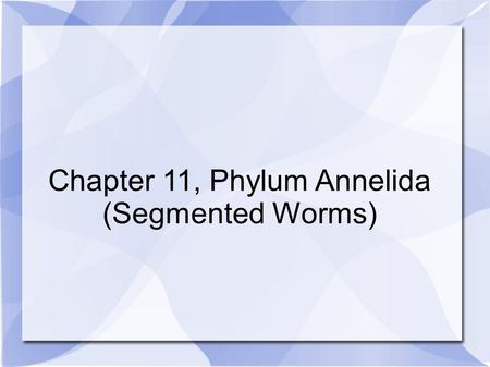 Chapter 11, Phylum Annelida (Segmented Worms)