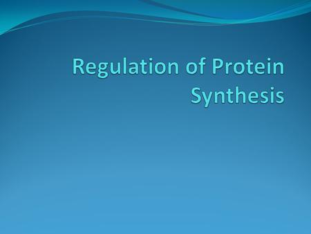 Regulation of Protein Synthesis