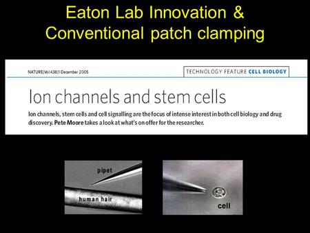 Eaton Lab Innovation & Conventional patch clamping cell.