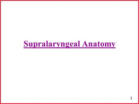 1 Supralaryngeal Anatomy. 2 Supportive Framework Facial Skeleton Mandible Cervical Vertebrae.