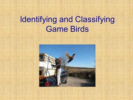 Identifying and Classifying Game Birds