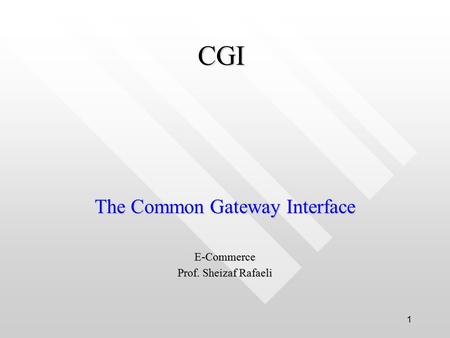 1 CGI The Common Gateway Interface E-Commerce Prof. Sheizaf Rafaeli.