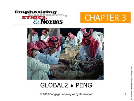 © 2013 Cengage Learning. All rights reserved. CHAPTER 3 GLOBAL2  PENG © David Lomax/Robert Harding/Glowimages.com 1.
