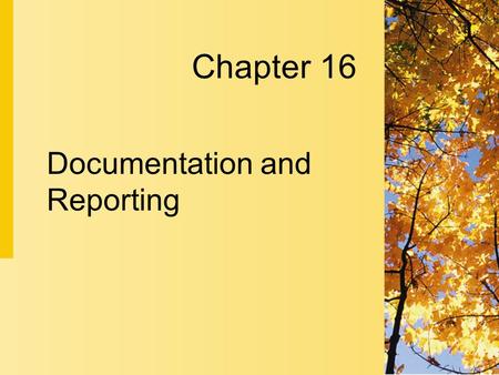 documentation in nursing powerpoint presentation