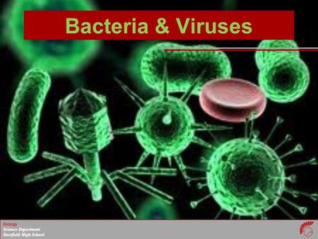 Bacteria & Viruses.