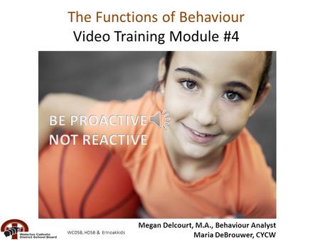 The “Functions” of Behaviour