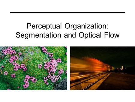 Perceptual Organization: Segmentation and Optical Flow.