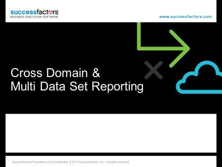 Cross Domain & Multi Data Set Reporting